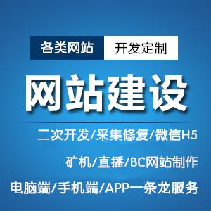 網站建設 H5平臺搭建 源碼出售 二次開發服務